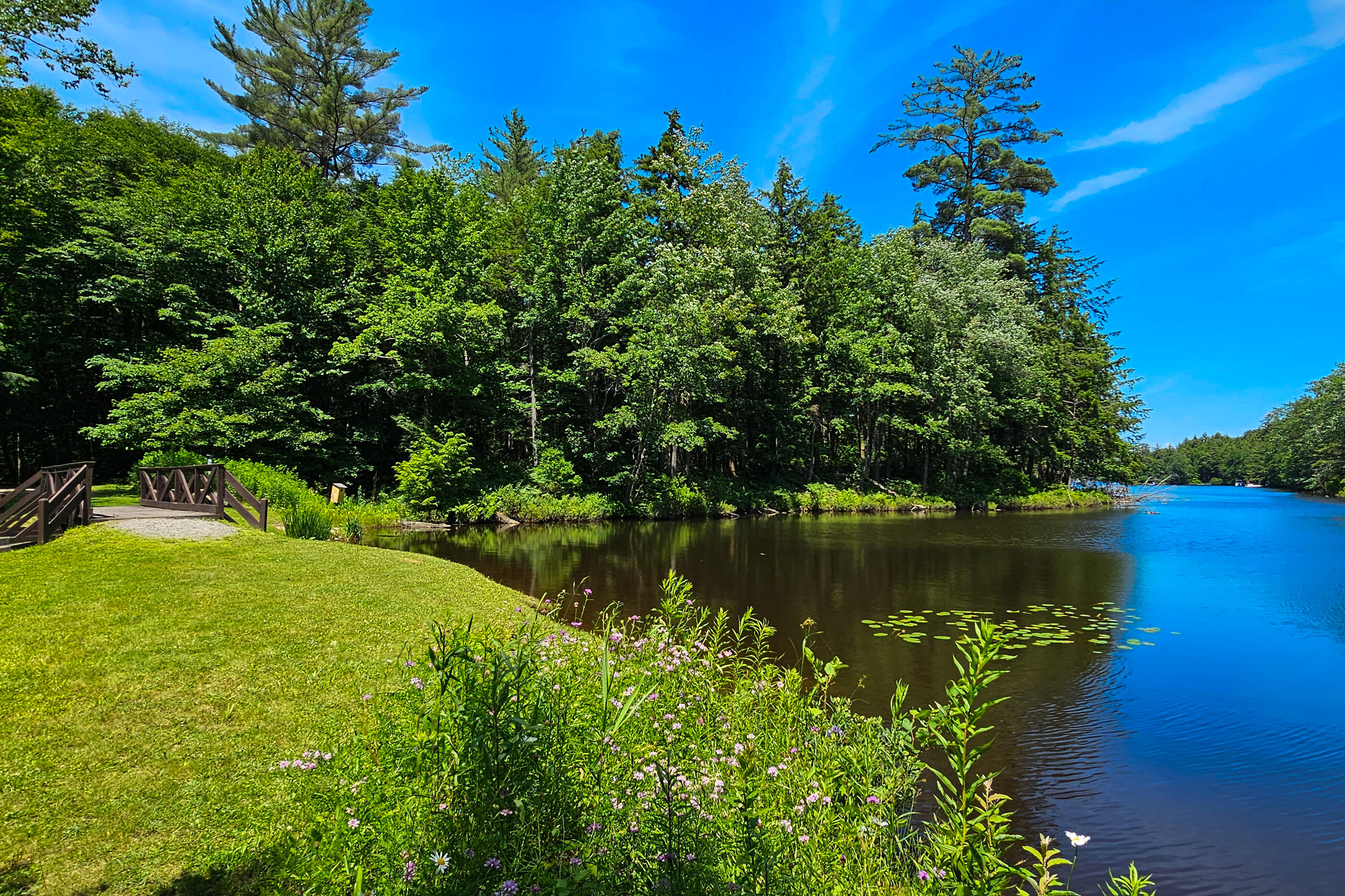 4210 Lake View Road Forestport, NY 13338 - Photo 11 of 40 Gallery Image 11