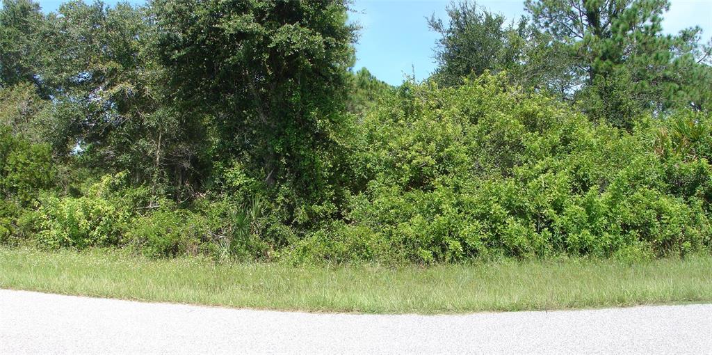 12552 Buffing Road Port Charlotte, FL 33981 - Photo 1 of 1