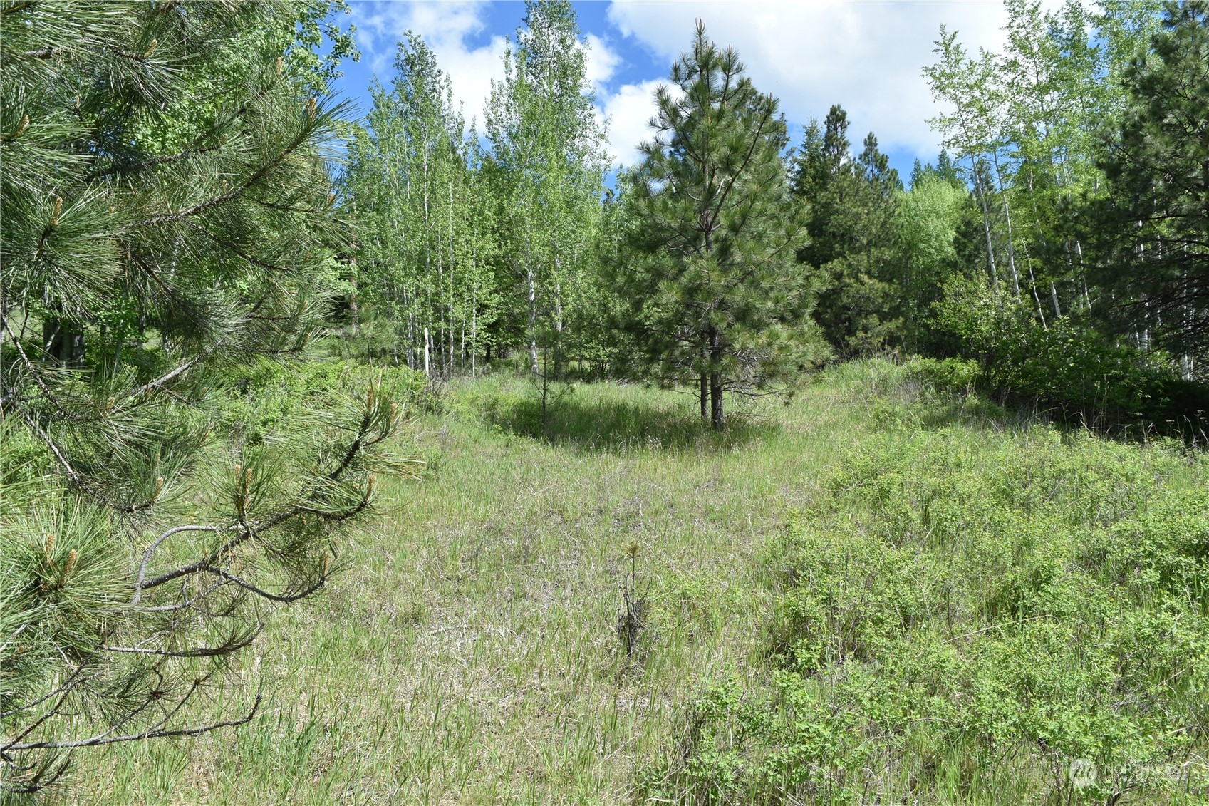 256 Barrett Creek Road Republic, WA 99166 - Photo 5 of 12 a view of a garden