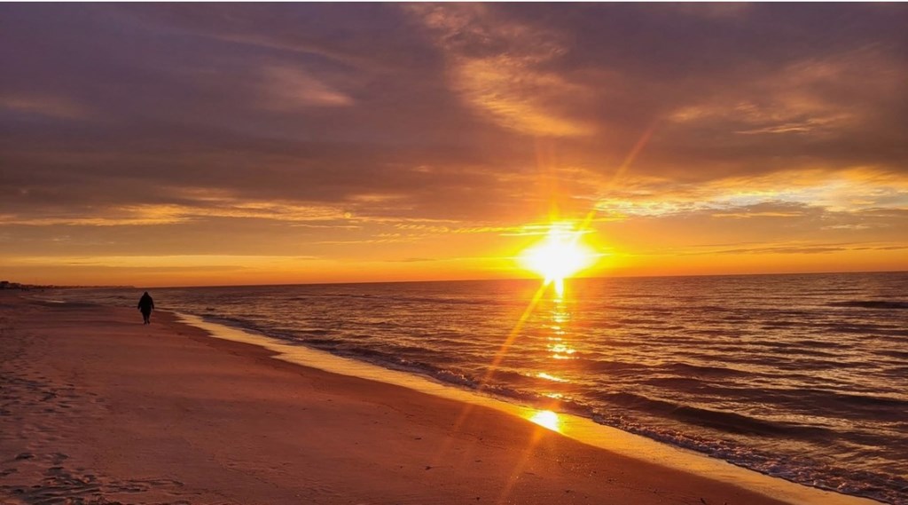 1912 Nautilus Road St. George Island, FL 32328 - Photo 8 of 89