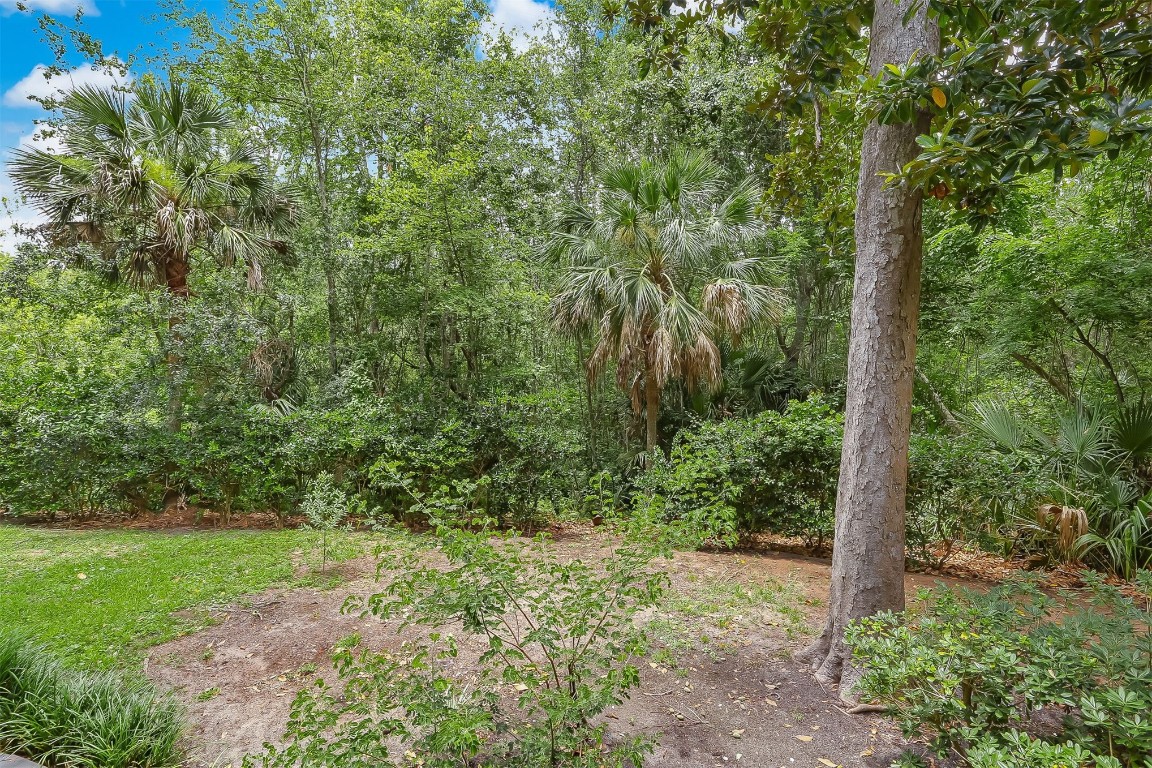 2563 Forest Ridge Drive, Unit P3 Fernandina Beach, FL 32034 - Photo 33 of 44 a view of a forest that has large trees