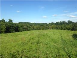 6806 Bugtussle Road Gamaliel, KY 42140 - Photo 2 of 15