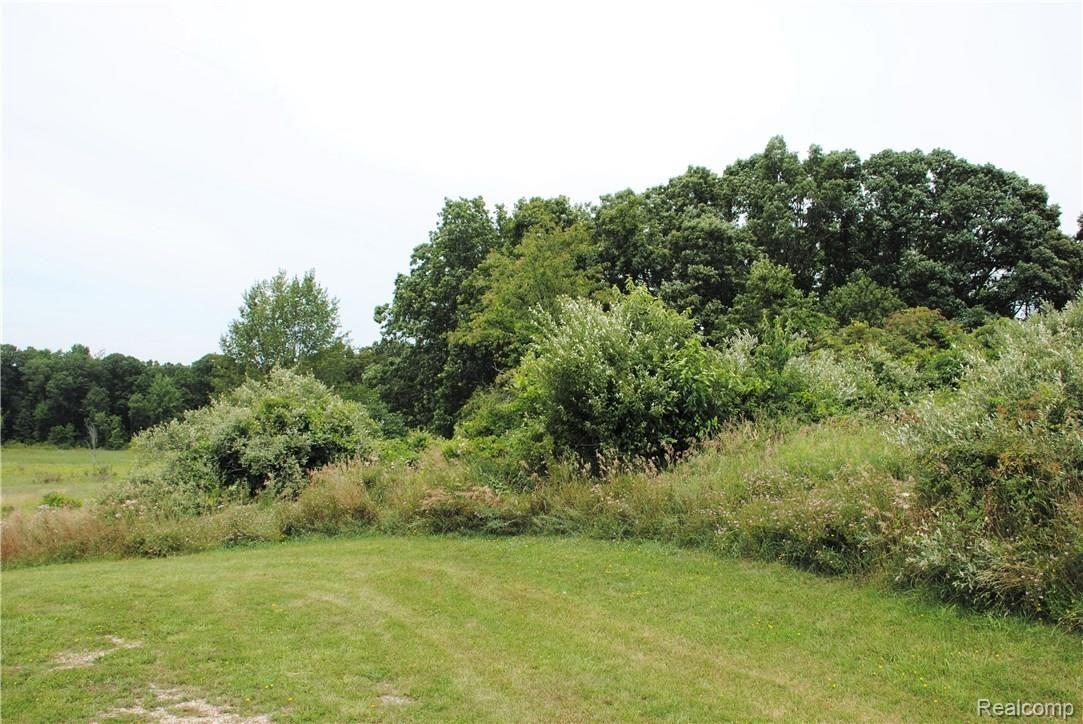 2497 East Clyde Road Howell, MI 48855 - Photo 82 of 95 Trails....