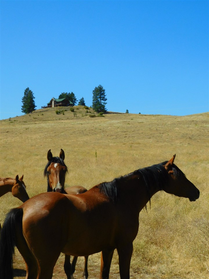 3691 Beck Road Rice, WA 99167 - Photo 15 of 49