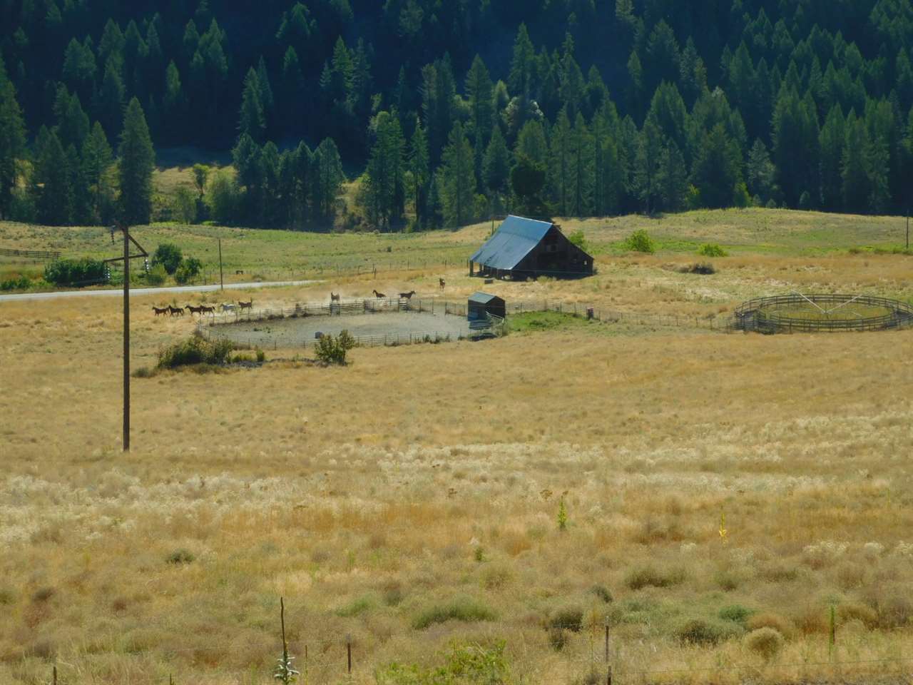 3691 Beck Road Rice, WA 99167 - Photo 5 of 49