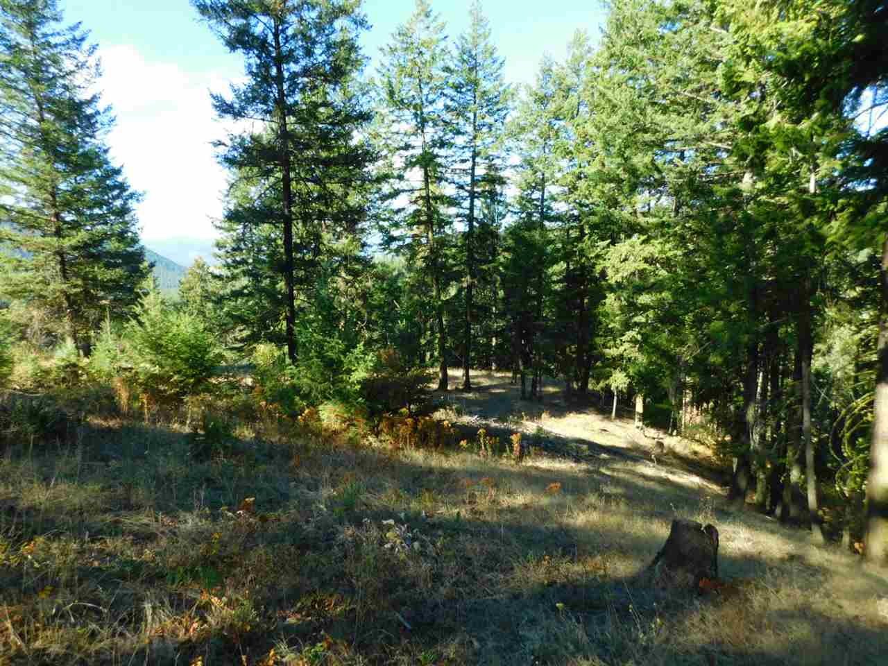 3691 Beck Road Rice, WA 99167 - Photo 43 of 49