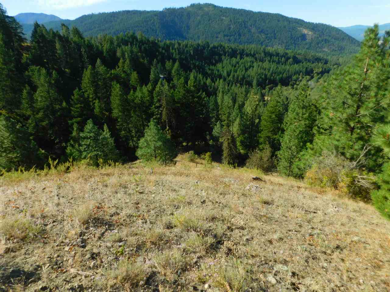 3691 Beck Road Rice, WA 99167 - Photo 44 of 49
