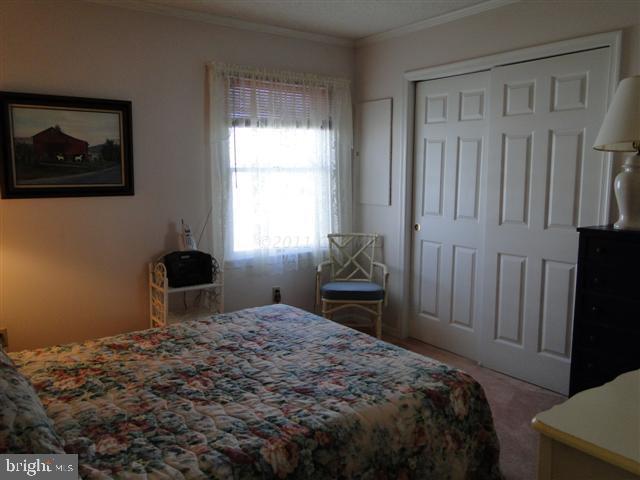 185 Pine Tree Road Ocean City, MD 21842 - Photo 9 of 13 Gallery Image 9