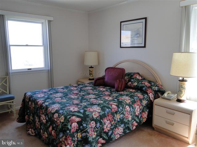 185 Pine Tree Road Ocean City, MD 21842 - Photo 10 of 13 Gallery Image 10