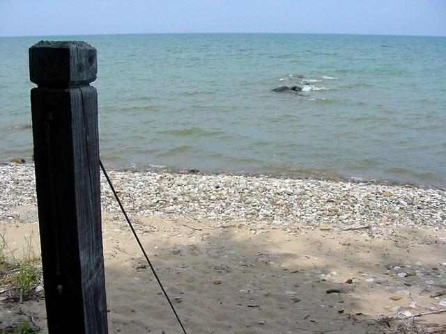 5022 Lakeshore Road Deckerville, MI 48427 - Photo 2 of 14 31008779-1.JPG