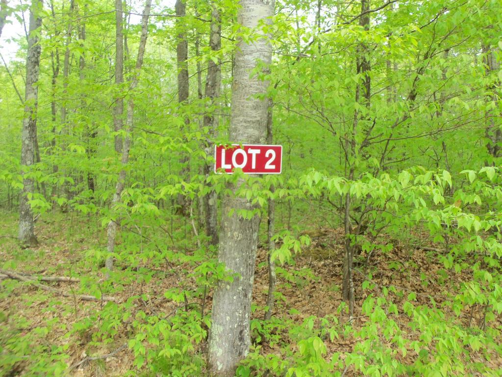 Lot 2 Swanson Road Springbrook, WI 54875 - Photo 1 of 1