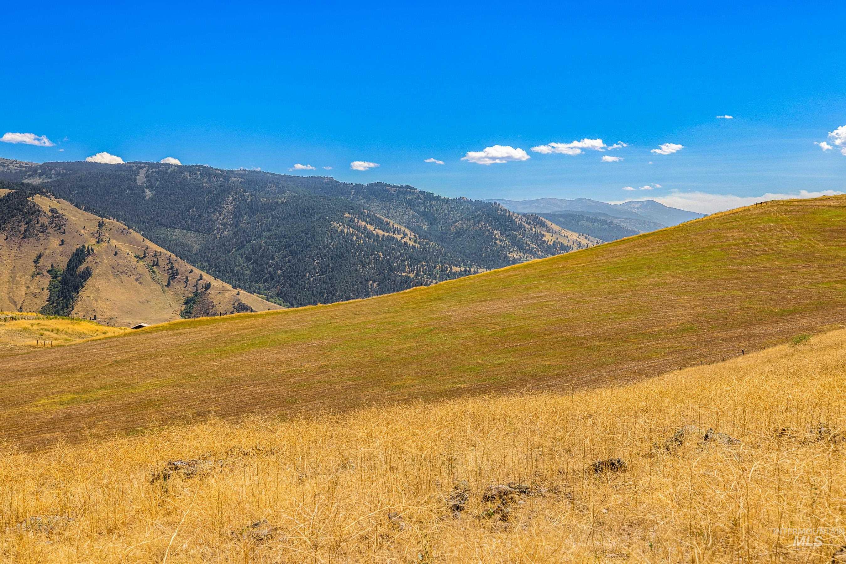 453 Elk Haven Circle Pollock, ID 83547 - Photo 21 of 25