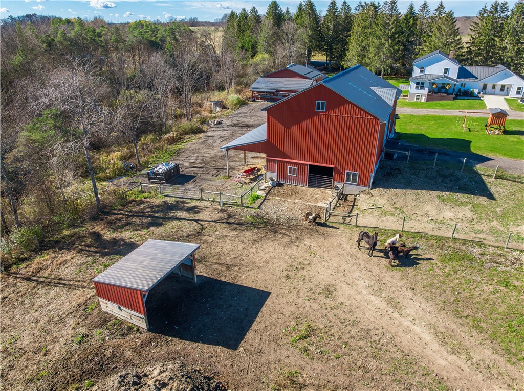 11742 Armison Road Hume, NY 14735 - Photo 2 of 50 Horse pasture, lean-to, horse barn