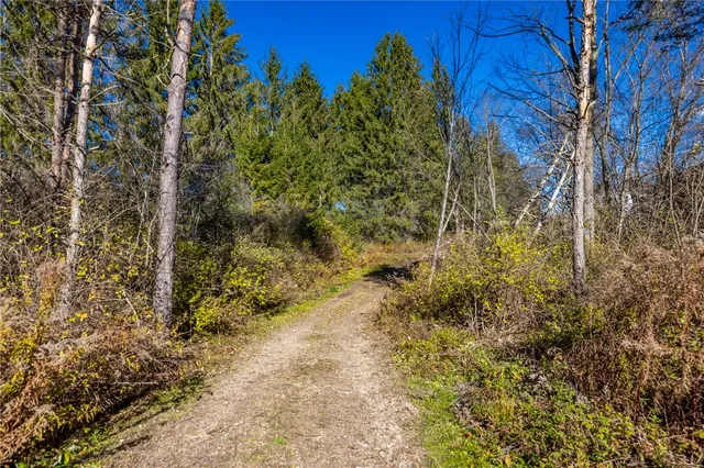 $689,000 | 11742 Armison Road, Hume, NY 14735