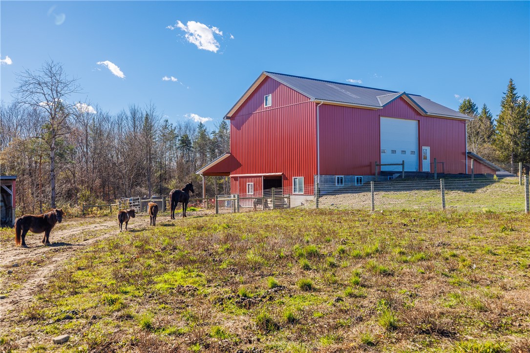 11742 Armison Road Hume, NY 14735 - Photo 37 of 50 Horse barn and pastures