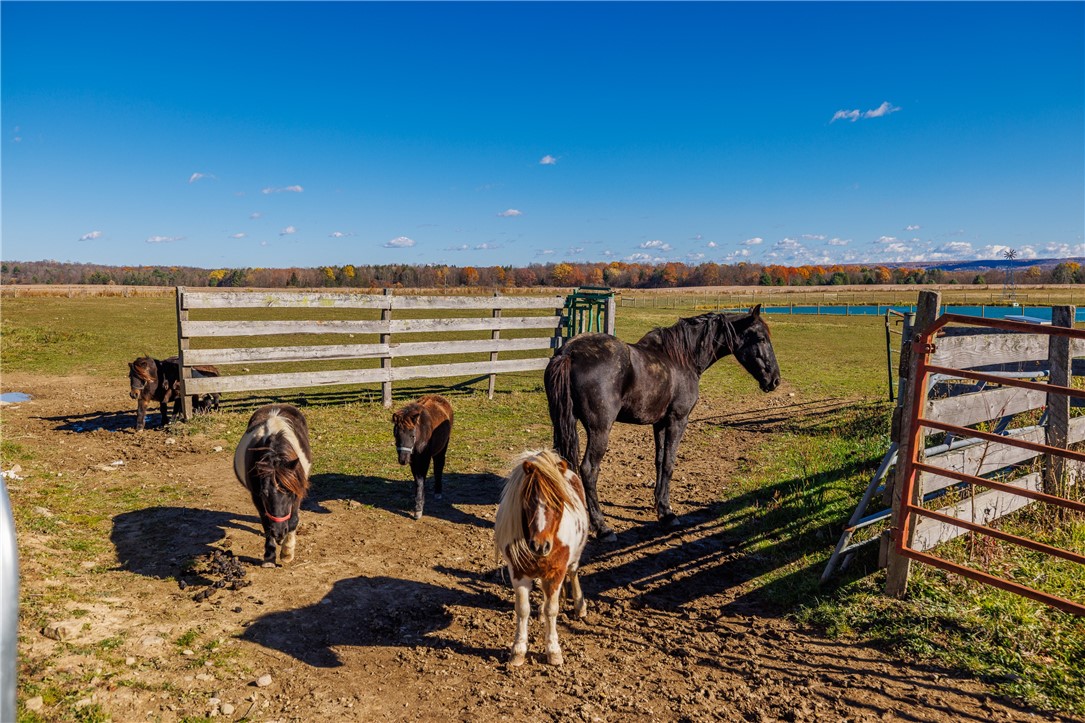 11742 Armison Road Hume, NY 14735 - Photo 42 of 50