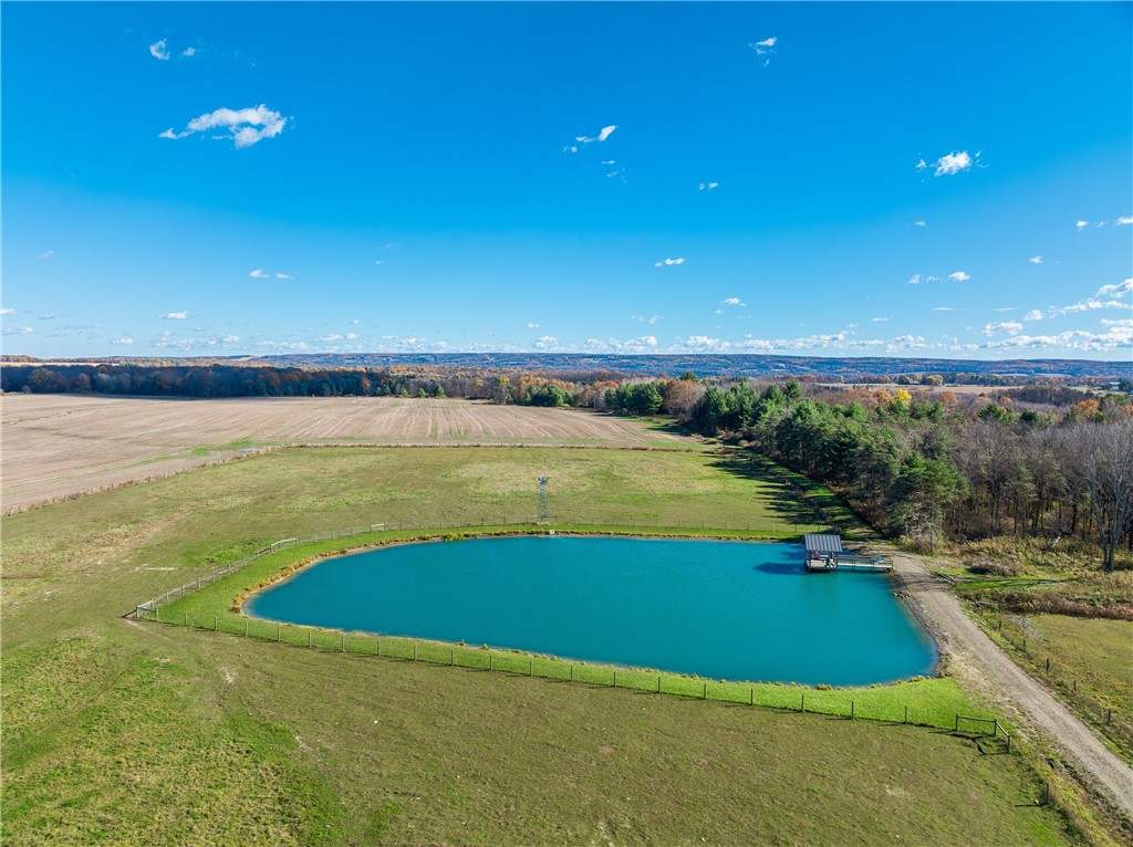 11742 Armison Road Hume, NY 14735 - Photo 44 of 50 pond and tillable acreage