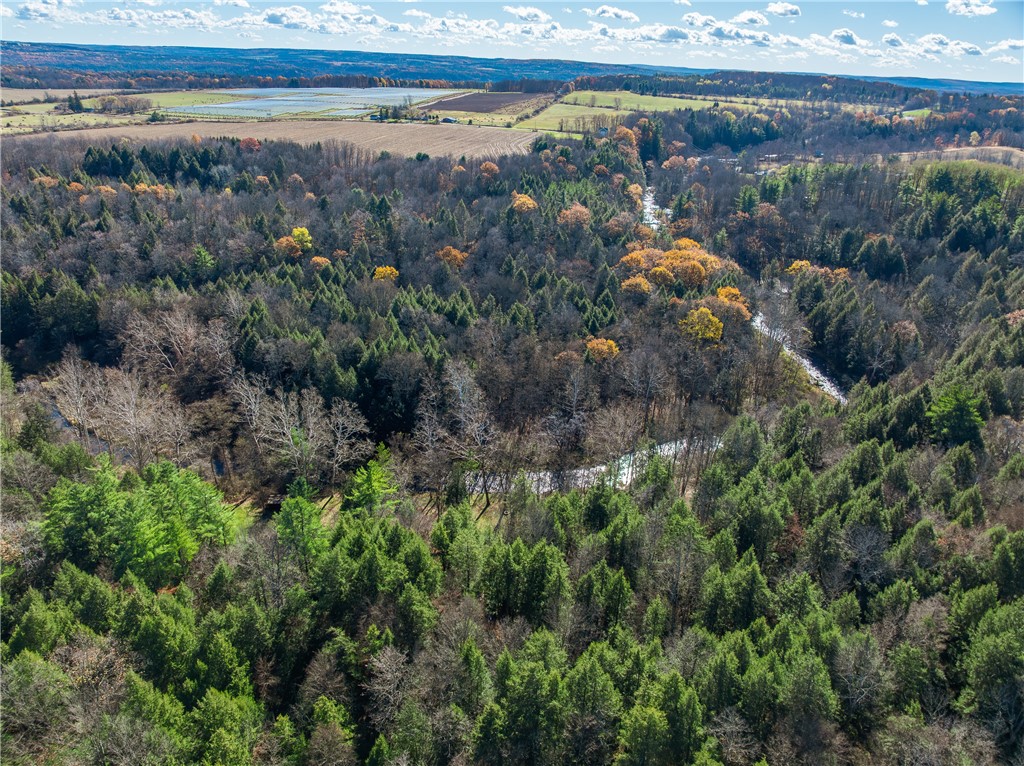 11742 Armison Road Hume, NY 14735 - Photo 45 of 50 Wiscoy Creek