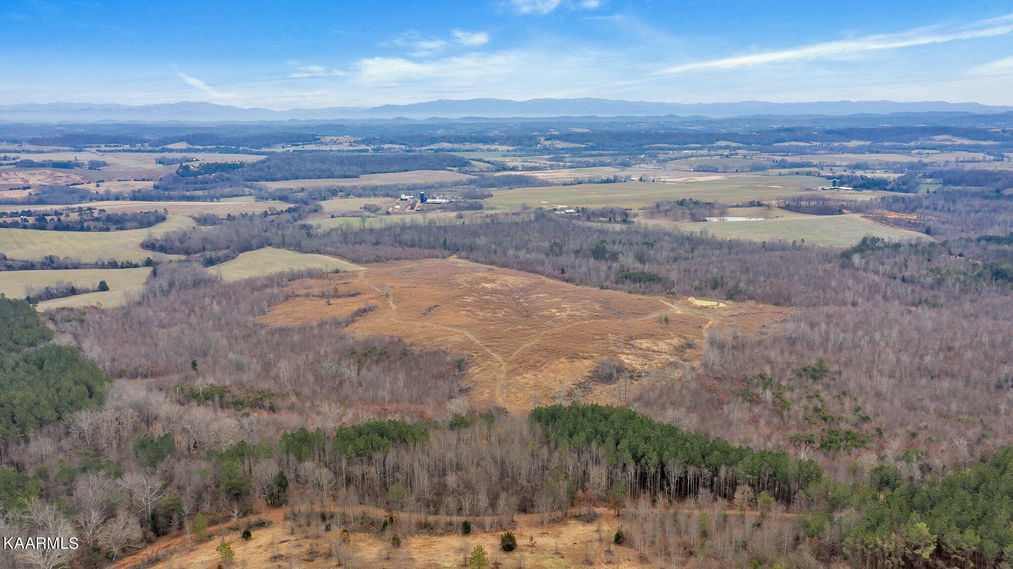 0 Flatwoods Road Philadelphia, TN 37846 - Photo 4 of 8