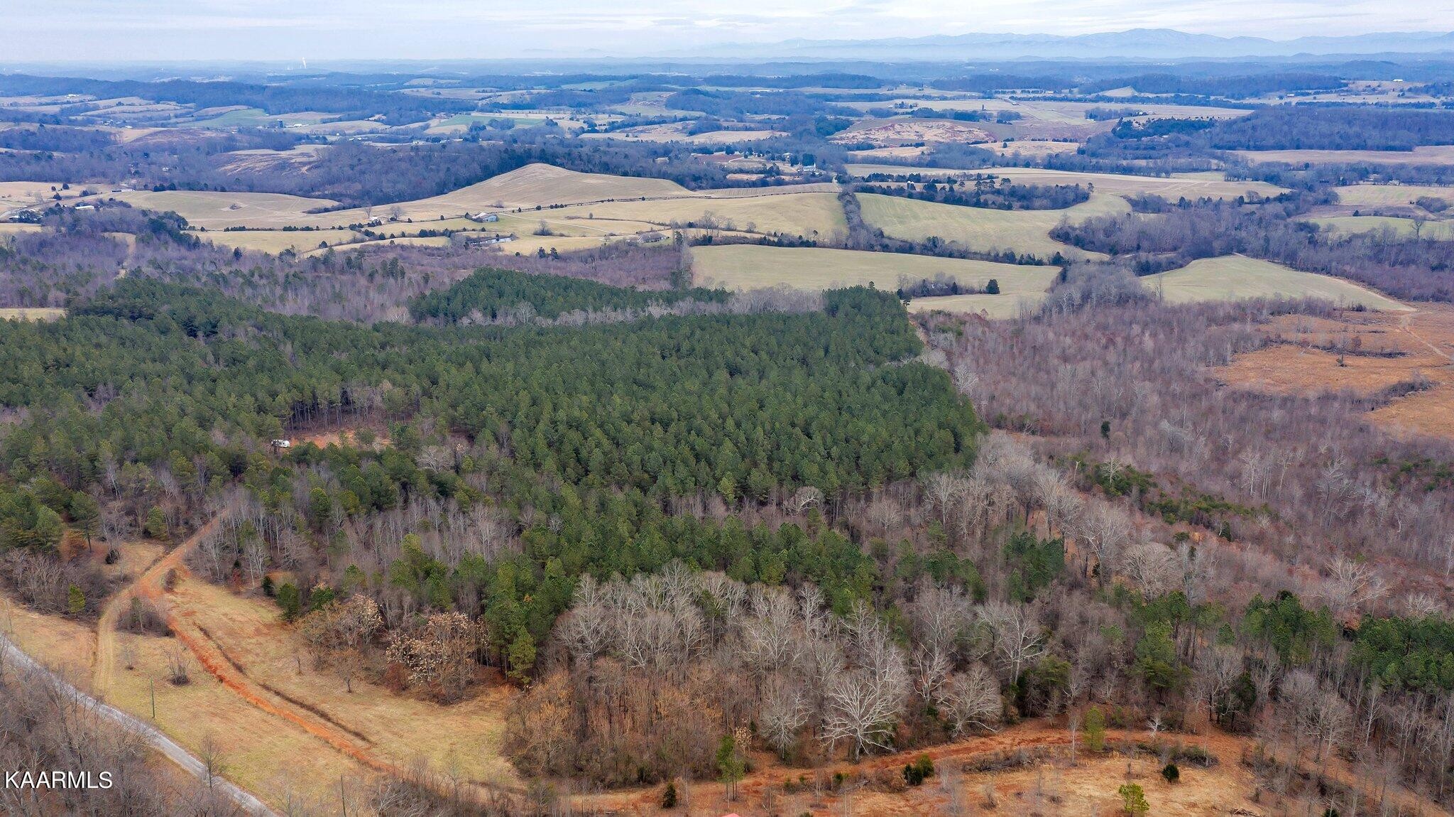 0 Flatwoods Road Philadelphia, TN 37846 - Photo 5 of 8