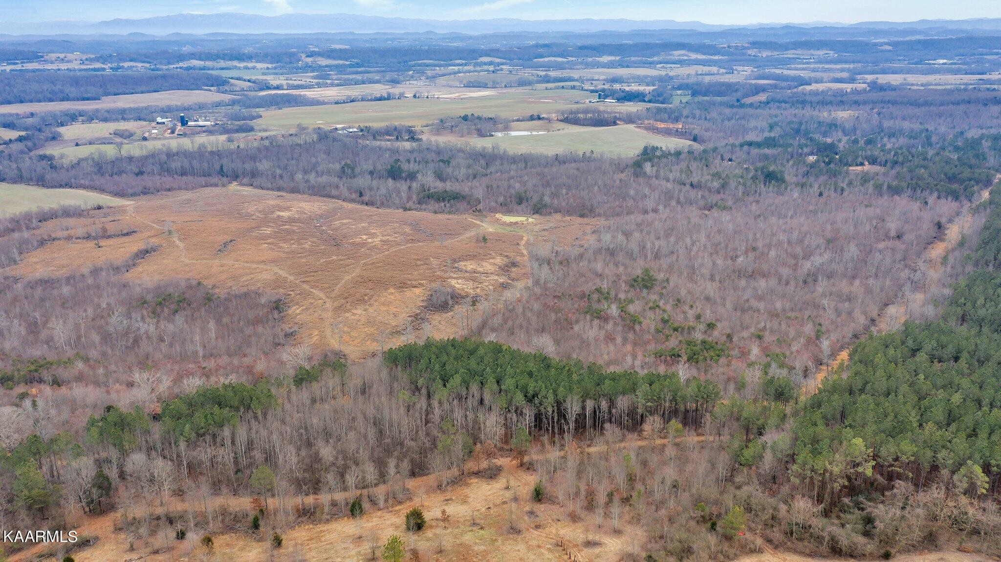 0 Flatwoods Road Philadelphia, TN 37846 - Photo 6 of 8