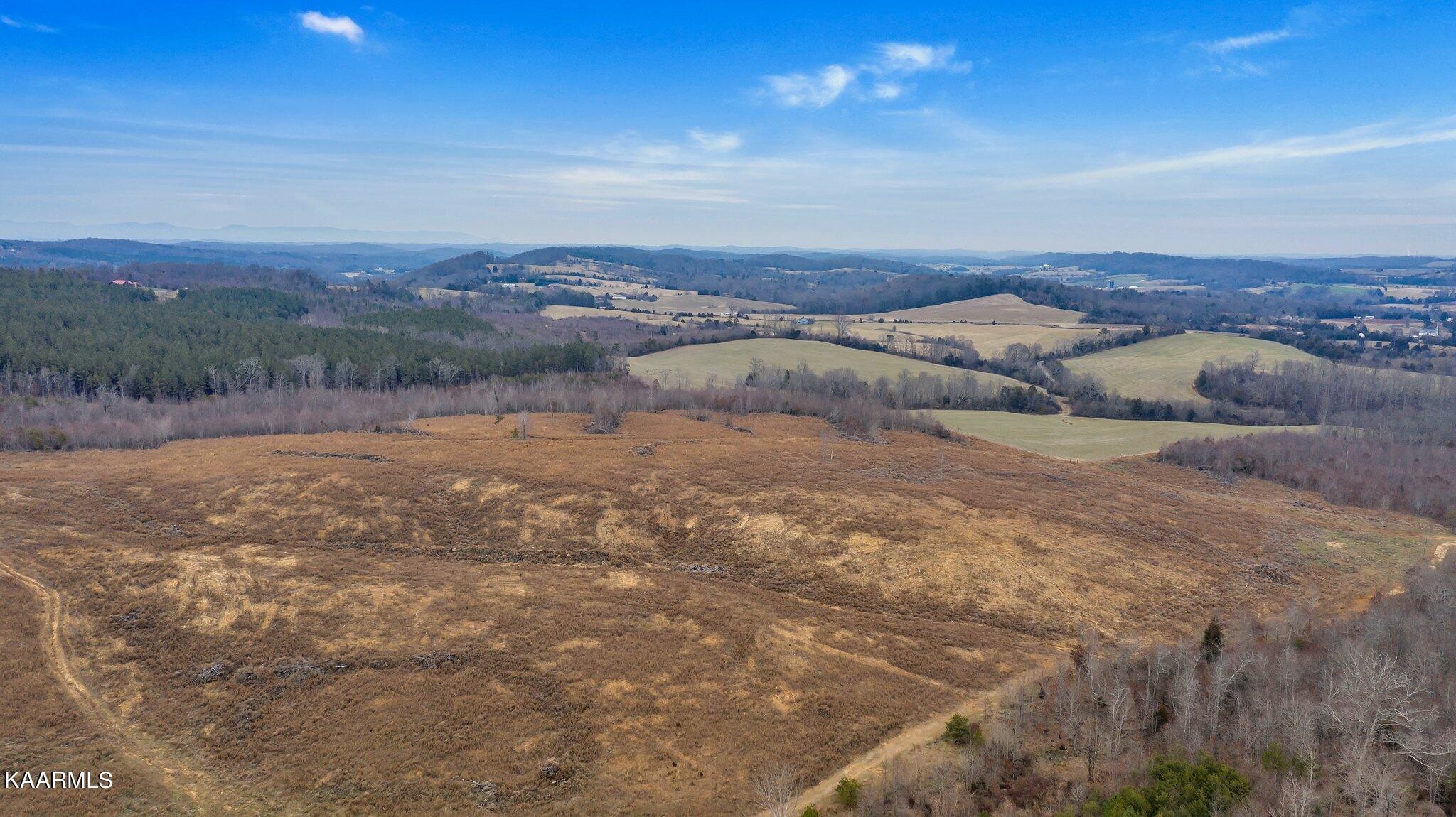 0 Flatwoods Road Philadelphia, TN 37846 - Photo 7 of 8