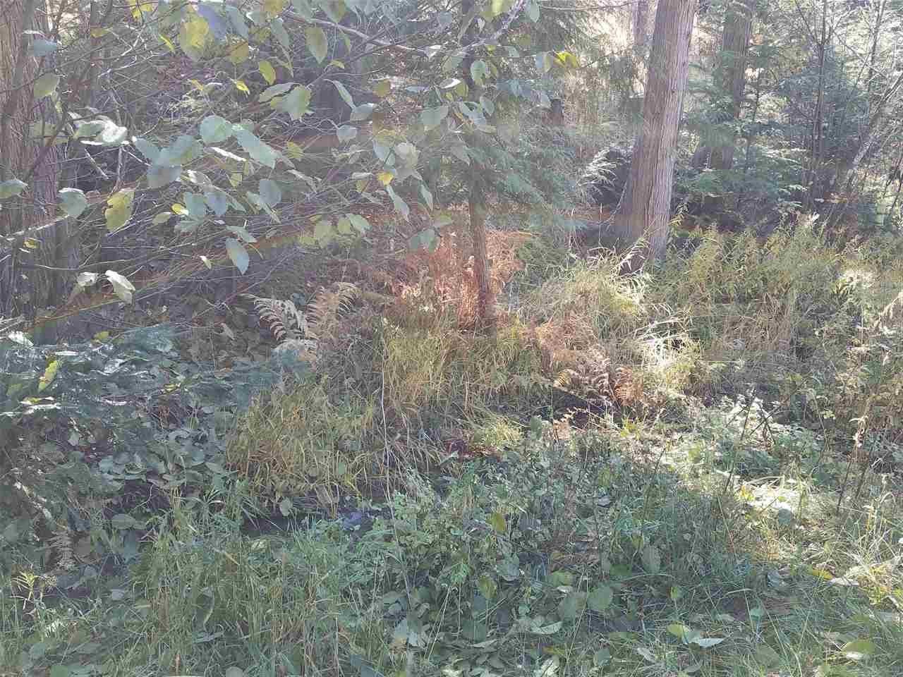 19210 East Elliot Road Mead, WA 99021 - Photo 16 of 18