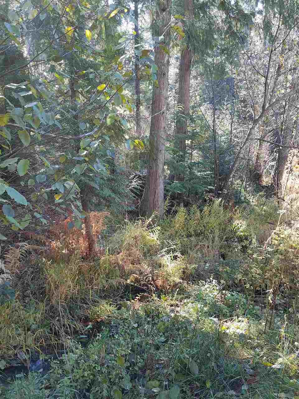 19210 East Elliot Road Mead, WA 99021 - Photo 17 of 18