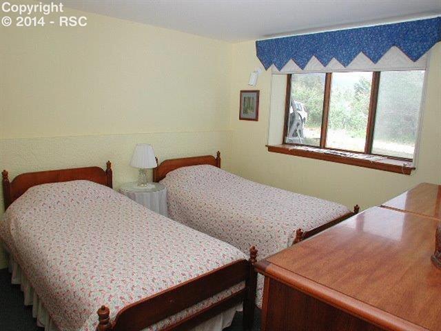 18105 Forest View Road Monument, CO 80132 - Photo 18 of 24 12x10 Bedroom on Garden Level Lower Level!