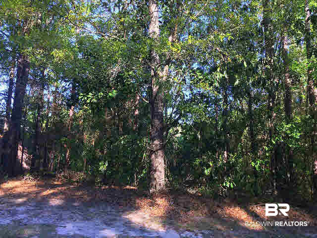0 West Springhill Woods Drive West Mobile, AL 36608 - Photo 4 of 6