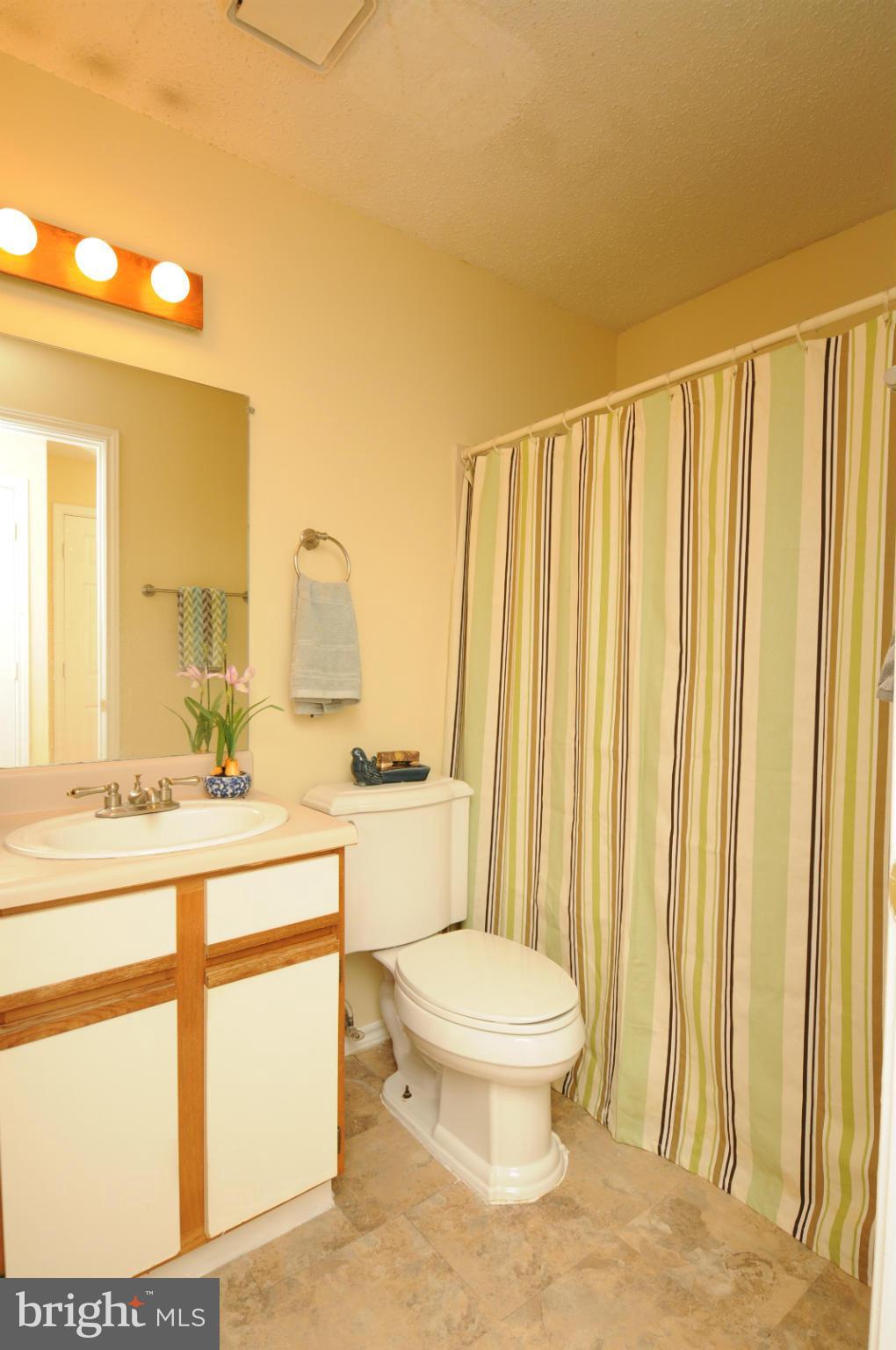 20985 Timber Ridge Terrace, Unit 204 Ashburn, VA 20147 - Photo 15 of 21 Bath