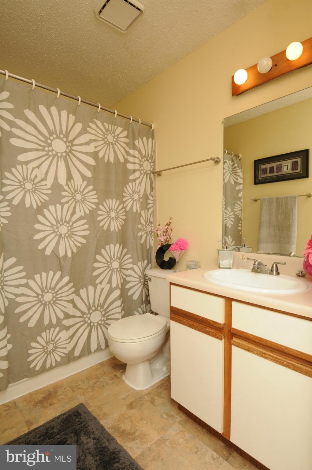 20985 Timber Ridge Terrace, Unit 204 Ashburn, VA 20147 - Photo 19 of 21 Bath (Master)