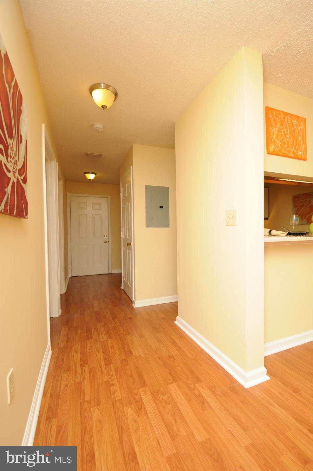20985 Timber Ridge Terrace, Unit 204 Ashburn, VA 20147 - Photo 3 of 21 Foyer