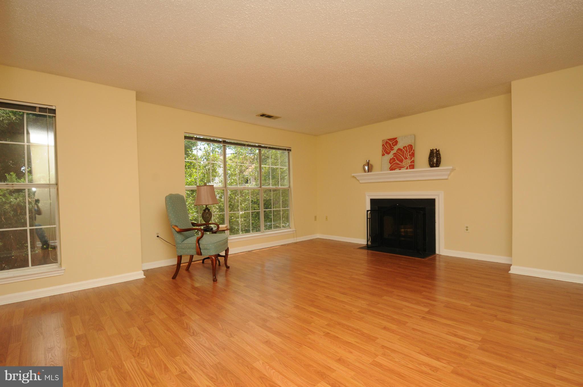 20985 Timber Ridge Terrace, Unit 204 Ashburn, VA 20147 - Photo 4 of 21 Living Room