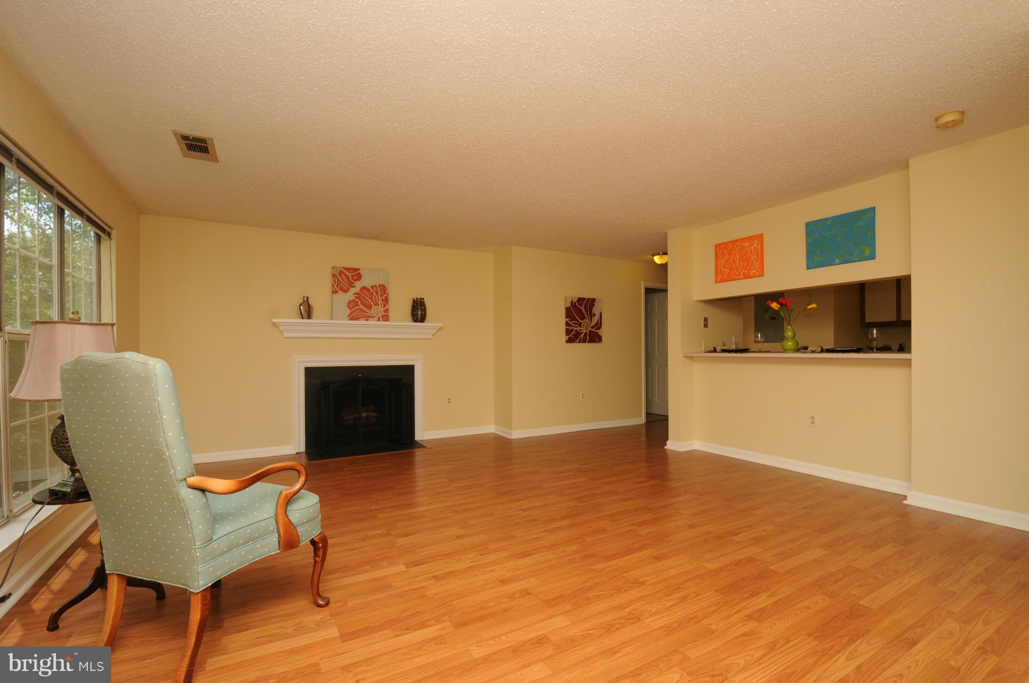20985 Timber Ridge Terrace, Unit 204 Ashburn, VA 20147 - Photo 5 of 21 Living Room