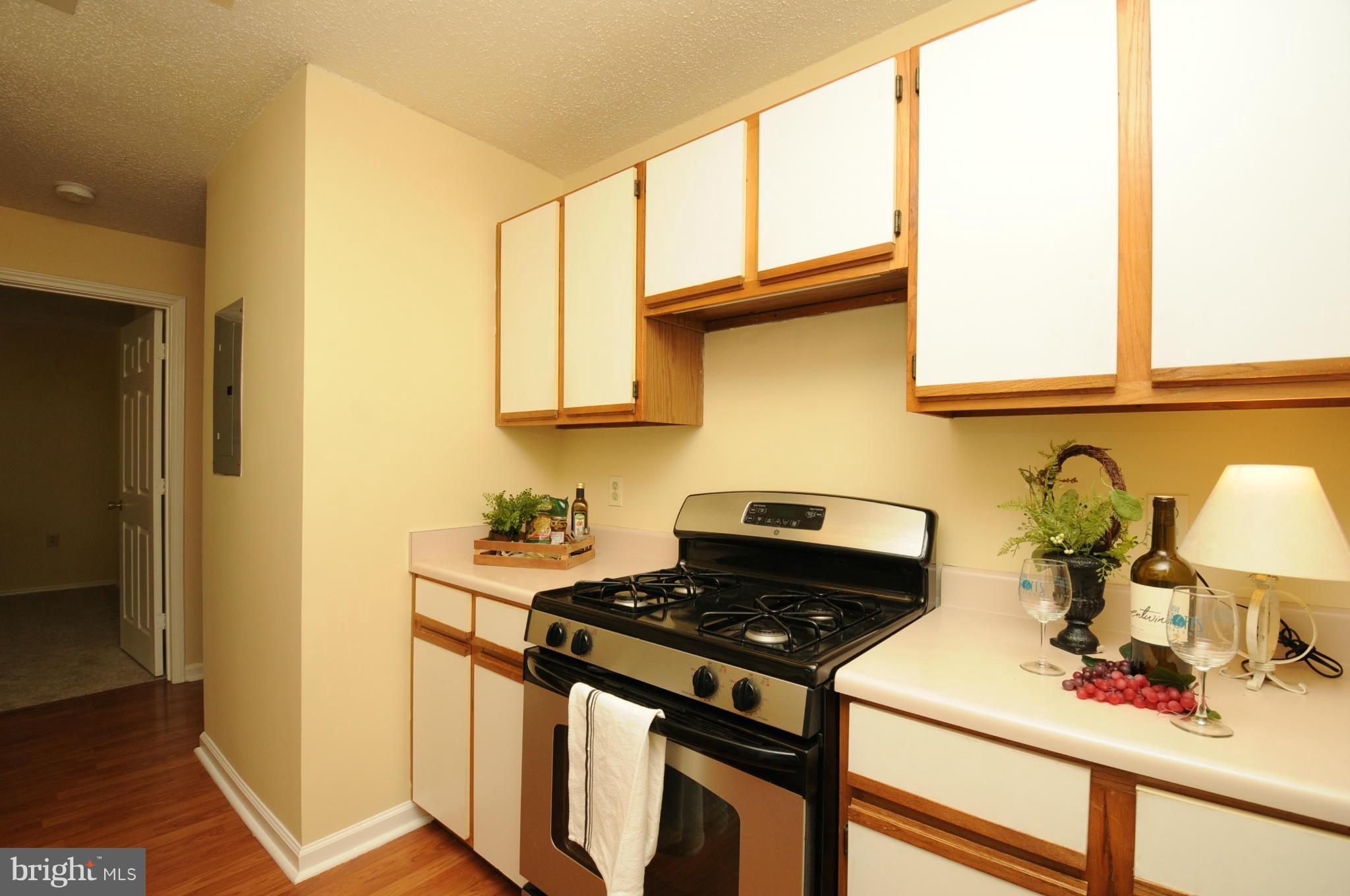 20985 Timber Ridge Terrace, Unit 204 Ashburn, VA 20147 - Photo 6 of 21 Kitchen