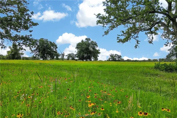 $1,162,000 | 11648 Farm To Market Road 2000, Caldwell, TX 77836