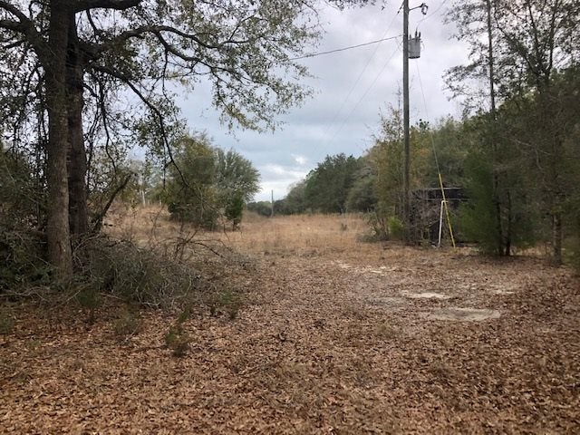 163.38-ac Cravey Bridge Road Florala, AL 36442 - Photo 30 of 49 Gallery Image 30