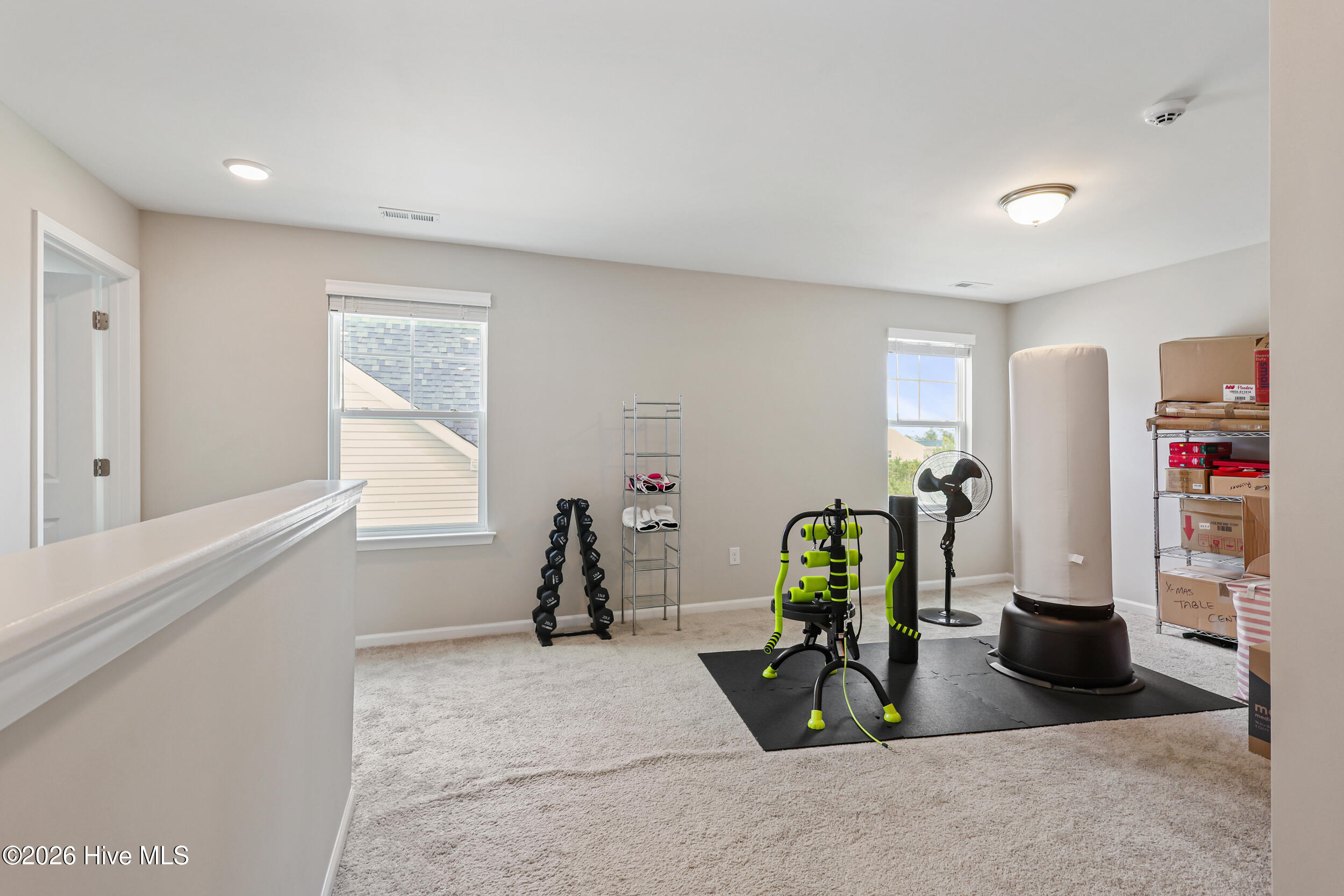 1005 Terraces Lane Hampstead, NC 28443 - Photo 25 of 48 Bonus Room/Flex Space
