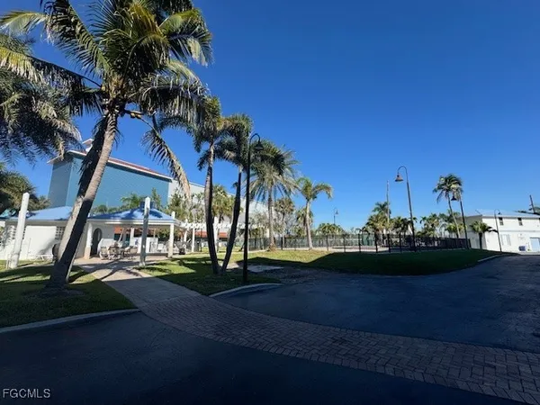 a view of a park with palm trees