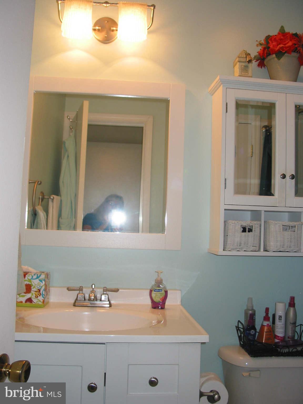 6000 Sunset Ridge Court Centreville, VA 20121 - Photo 13 of 30 Bath (Master)