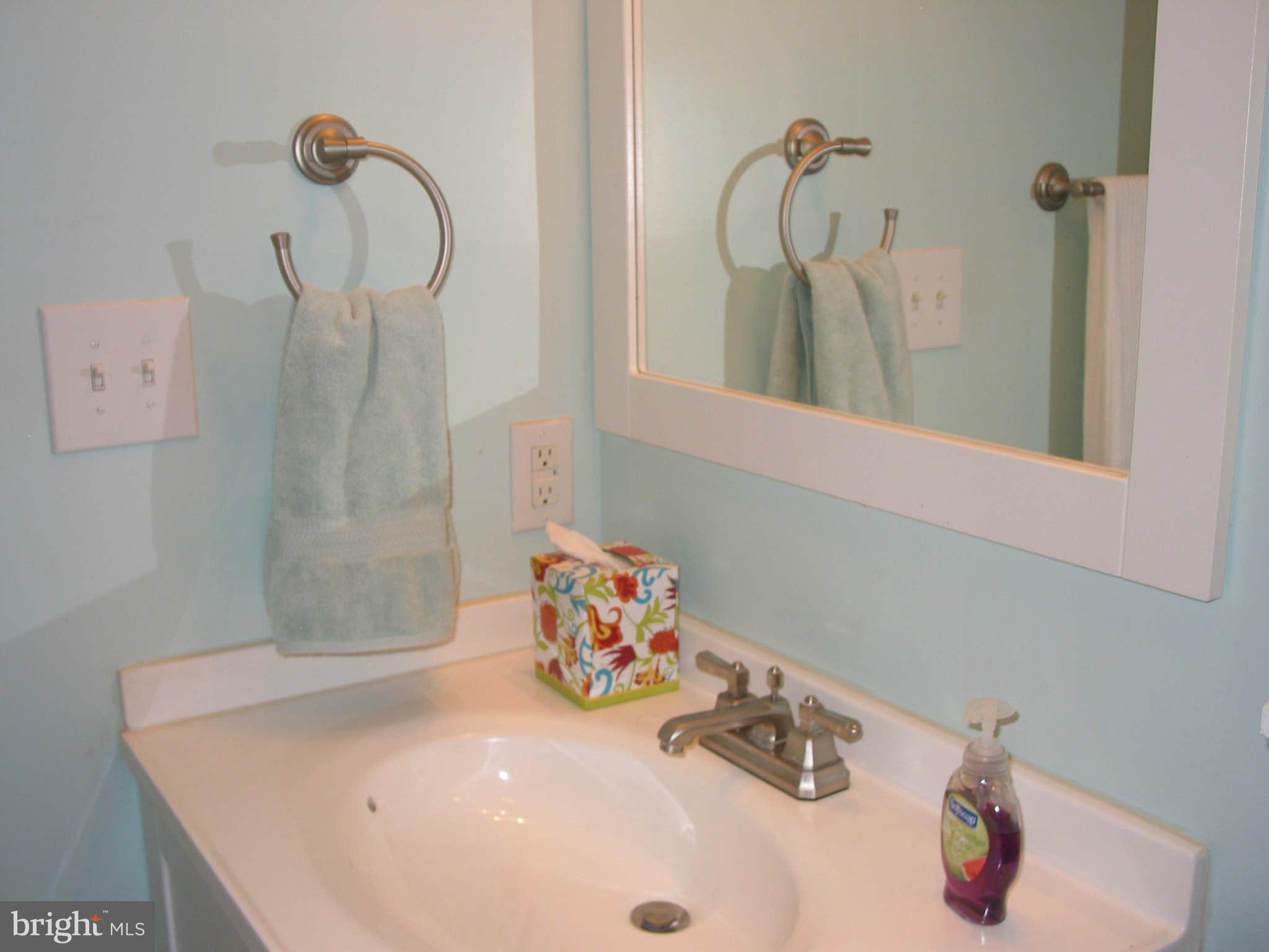 6000 Sunset Ridge Court Centreville, VA 20121 - Photo 14 of 30 Bath (Master)