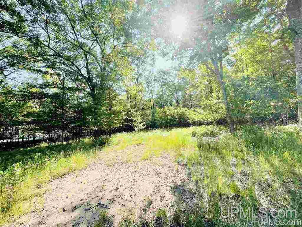 57 Tipperary Road Gladstone, MI 49837 - Photo 19 of 20