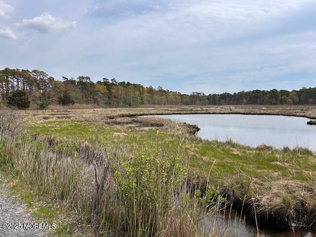 957 Harrison Road Toms River, NJ 08753 - Photo 27 of 40 IMG_4981