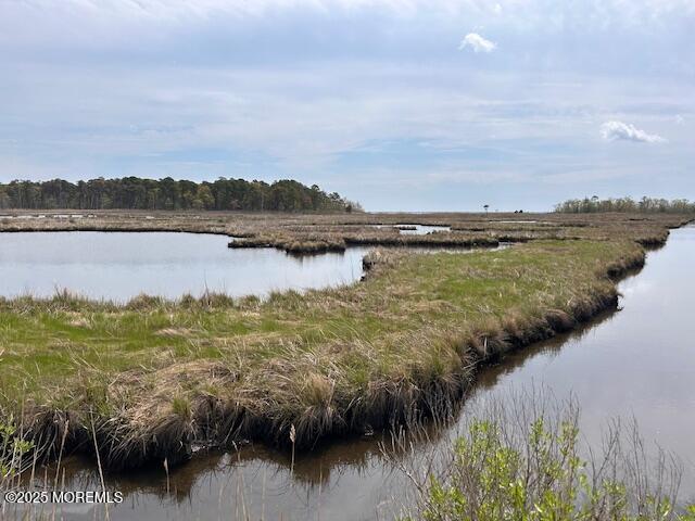 957 Harrison Road Toms River, NJ 08753 - Photo 30 of 40 IMG_4980