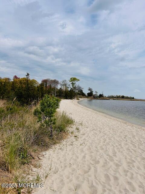 957 Harrison Road Toms River, NJ 08753 - Photo 34 of 40 IMG_4989