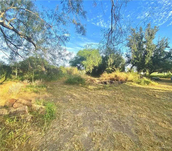 a view of yard with trees