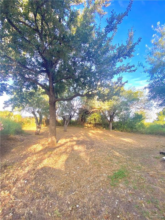 3631 Lott Road Donna, TX 78537 - Photo 22 of 24 a view of yard with trees