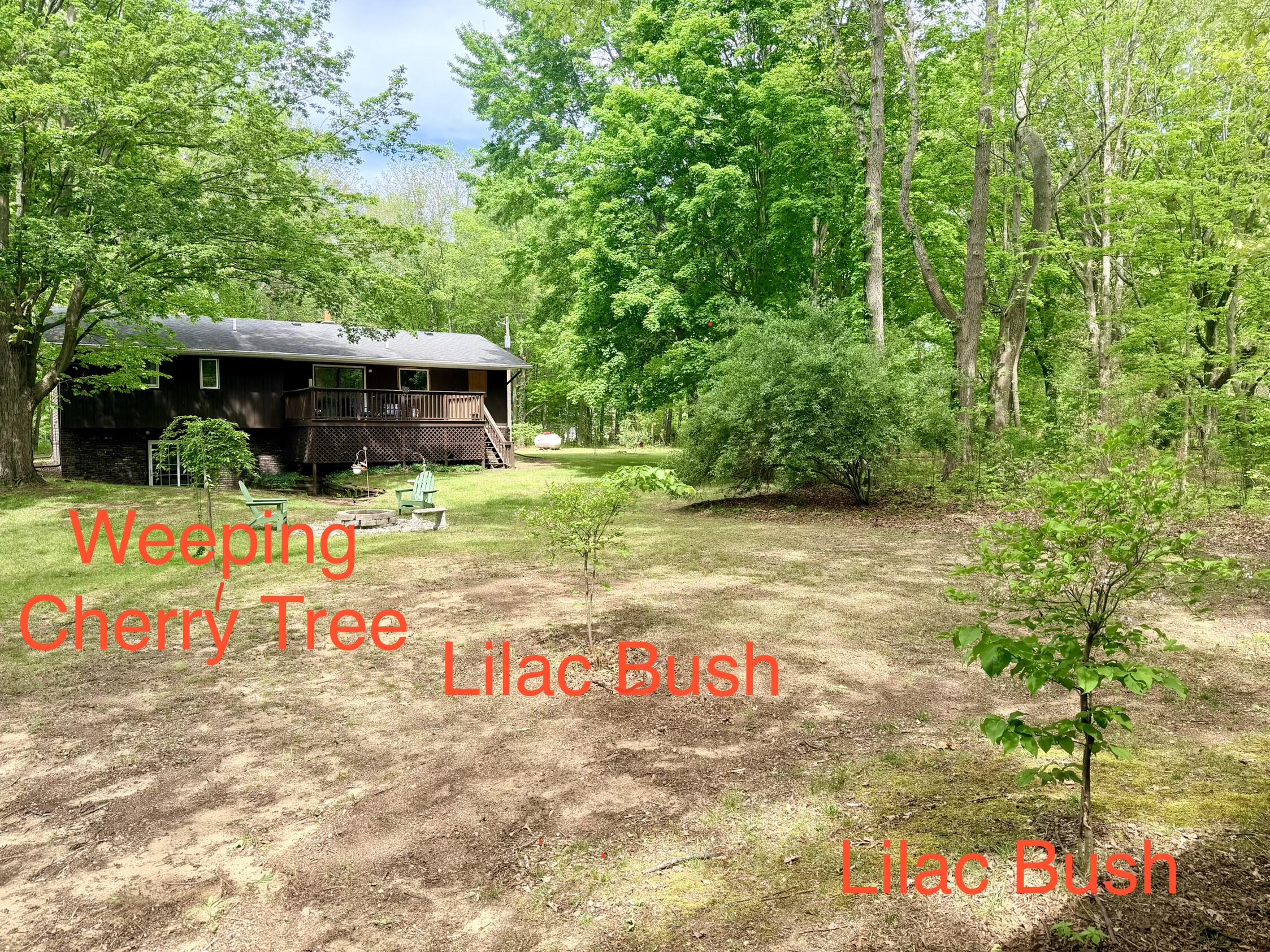 13953 Minnich Road Sawyer, MI 49125 - Photo 51 of 56 IMG_7710