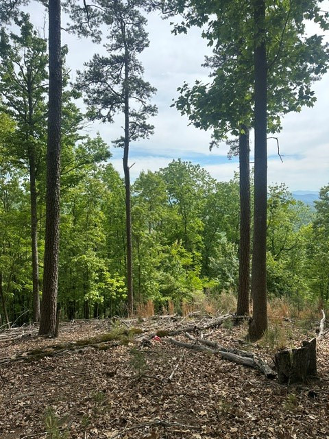 Lot 4 Hampton Knob Murphy, NC 28906 - Photo 3 of 6